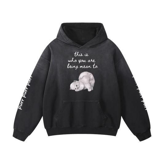 Funny Cute Hoodie with Kitten This Is Who You Are Being Mean To Heavyweight Sunfade Oversized - Canvas & Charms