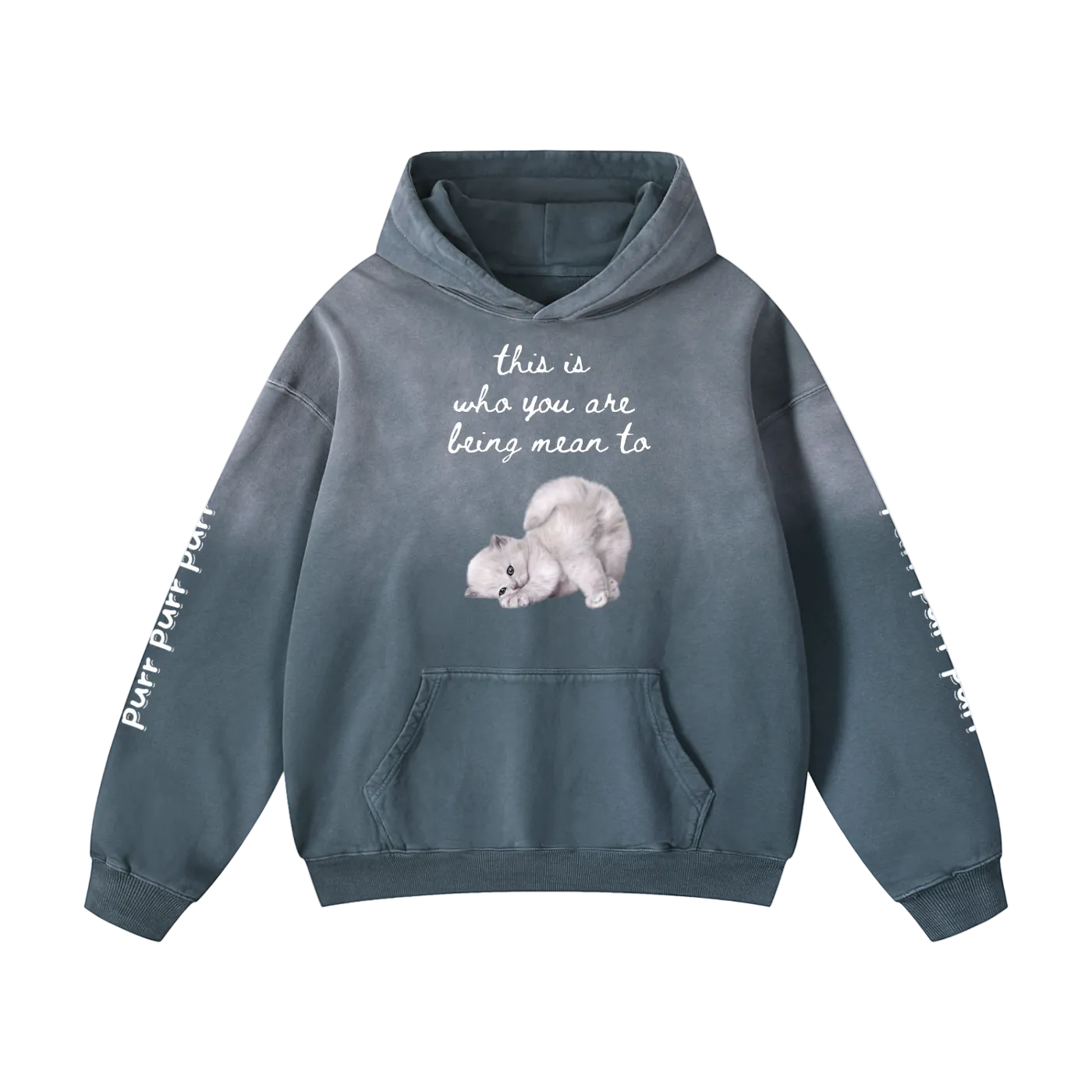 Blue hoodie with a cat illustration and text on a white background
