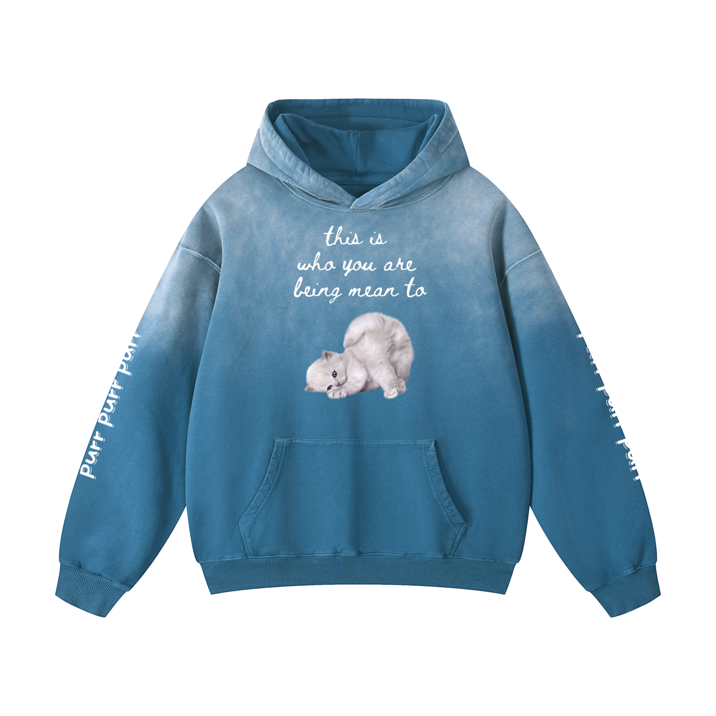 Funny Cute Hoodie with Kitten This Is Who You Are Being Mean To Heavyweight Sunfade Oversized