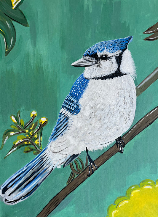 Blue Jay 24 x 18 acrylic painting