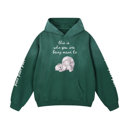 Funny Cute Hoodie with Kitten This Is Who You Are Being Mean To Heavyweight Sunfade Oversized