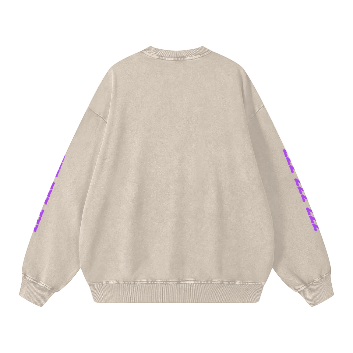 Funny Sweatshirt with Cat Professional Napper Snow Washed Oversized