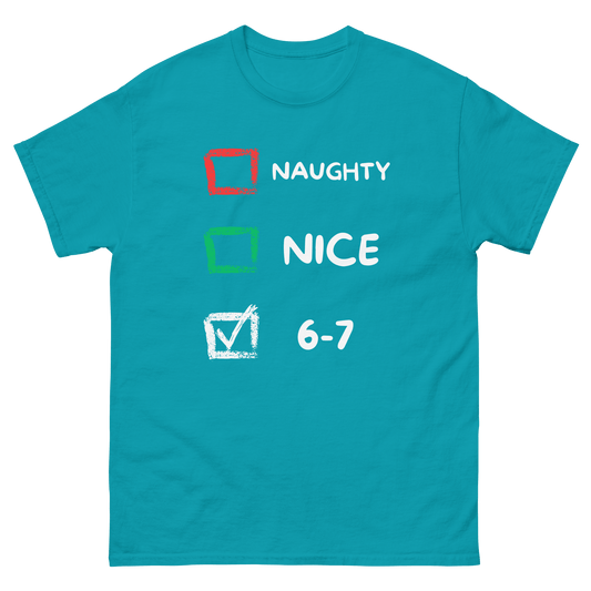 Funny Christmas Cotton T-shirt 6 - 7 Naughty or Nice Classic Tee - Canvas & Charms