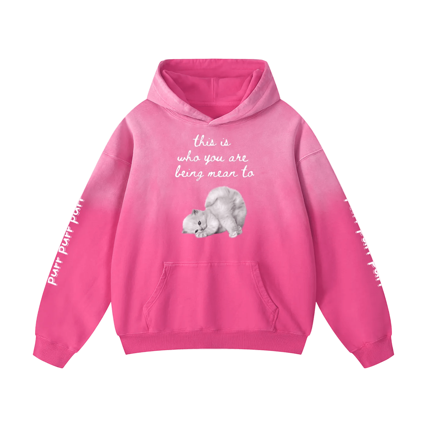 Funny Cute Hoodie with Kitten This Is Who You Are Being Mean To Heavyweight Sunfade Oversized - Canvas & Charms