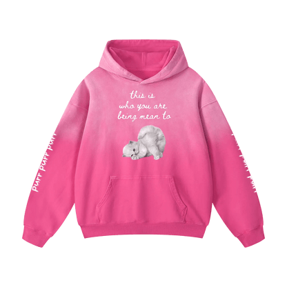 Funny Cute Hoodie with Kitten This Is Who You Are Being Mean To Heavyweight Sunfade Oversized - Canvas & Charms