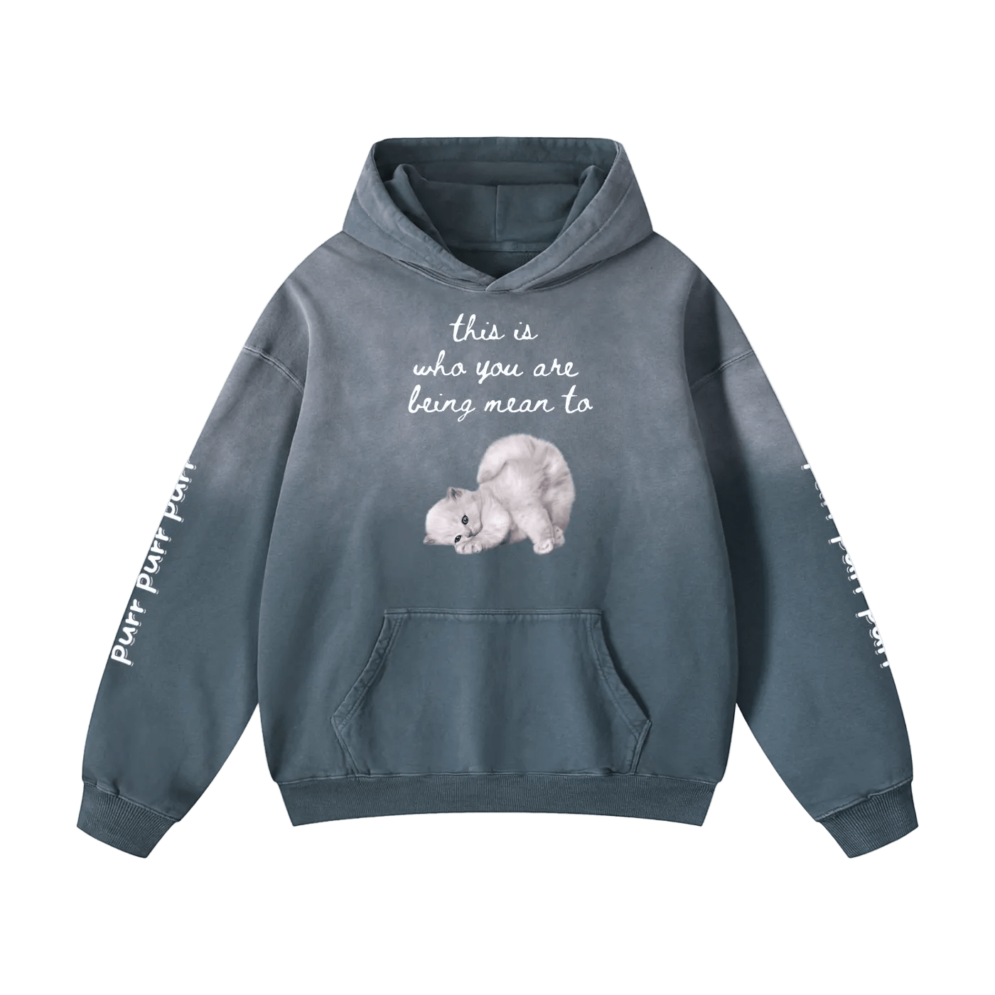 Funny Cute Hoodie with Kitten This Is Who You Are Being Mean To Heavyweight Sunfade Oversized - Canvas & Charms