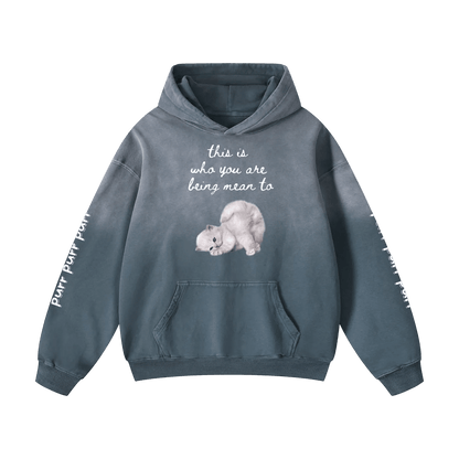 Funny Cute Hoodie with Kitten This Is Who You Are Being Mean To Heavyweight Sunfade Oversized - Canvas & Charms