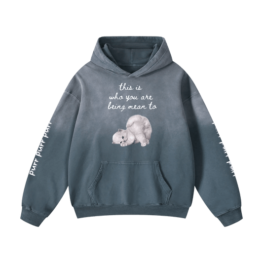 Funny Cute Hoodie with Kitten This Is Who You Are Being Mean To Heavyweight Sunfade Oversized - Canvas & Charms