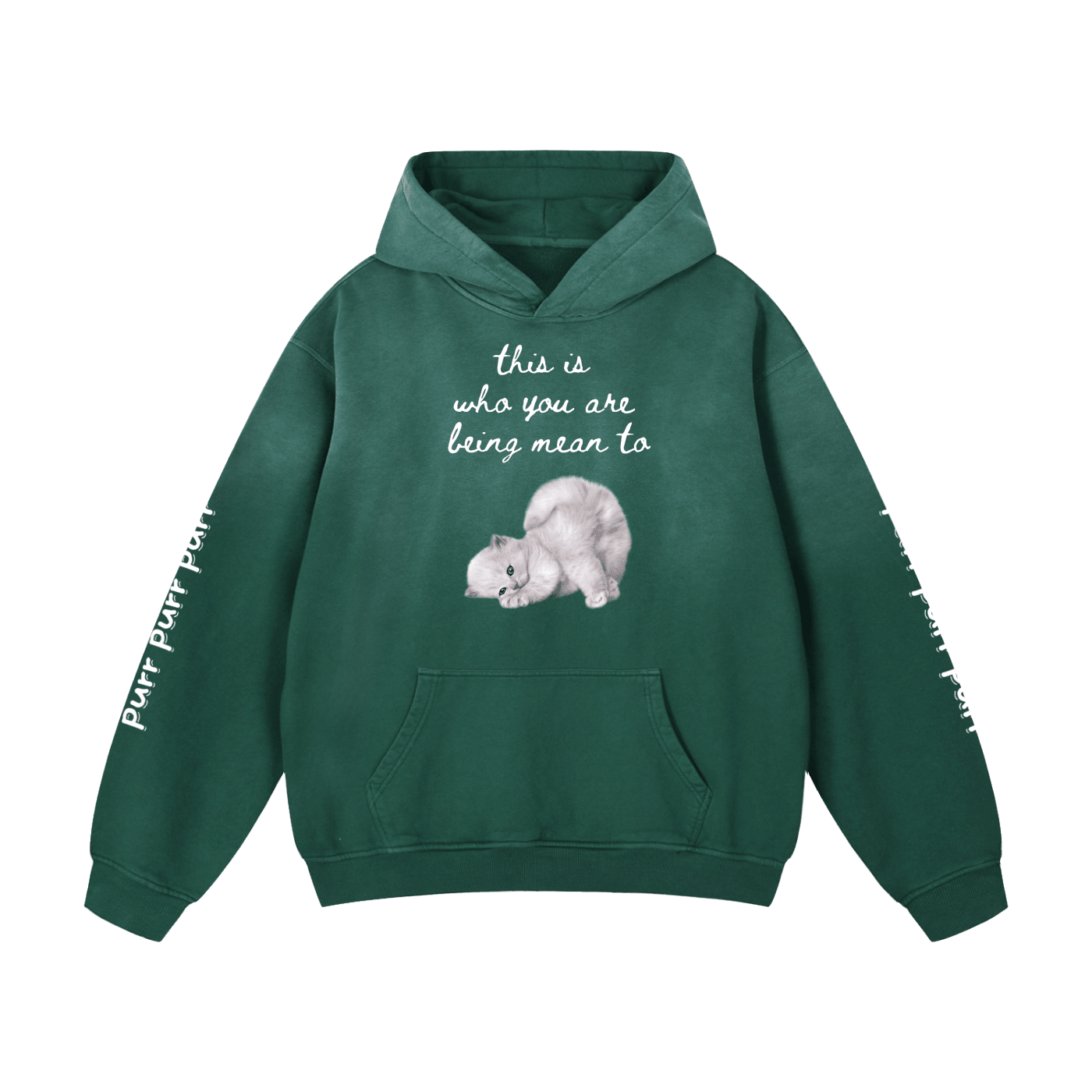 Funny Cute Hoodie with Kitten This Is Who You Are Being Mean To Heavyweight Sunfade Oversized - Canvas & Charms