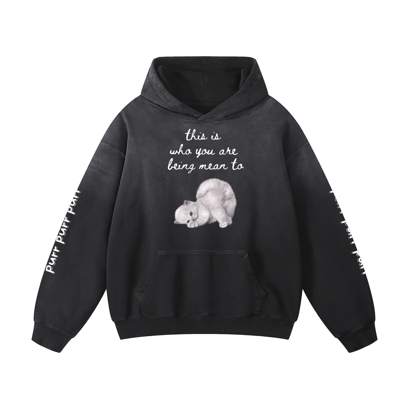 Funny Cute Hoodie with Kitten This Is Who You Are Being Mean To Heavyweight Sunfade Oversized - Canvas & Charms