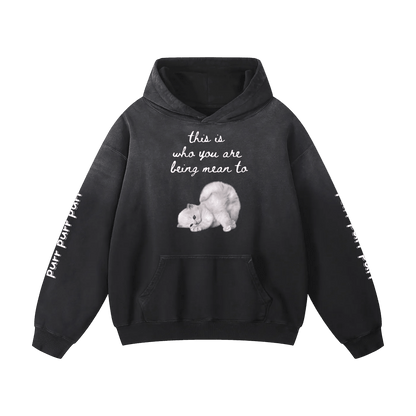 Funny Cute Hoodie with Kitten This Is Who You Are Being Mean To Heavyweight Sunfade Oversized - Canvas & Charms
