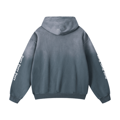 Funny Cute Hoodie with Kitten This Is Who You Are Being Mean To Heavyweight Sunfade Oversized - Canvas & Charms
